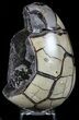 Septarian Dragon Egg Geode - Black Crystals #57420-1